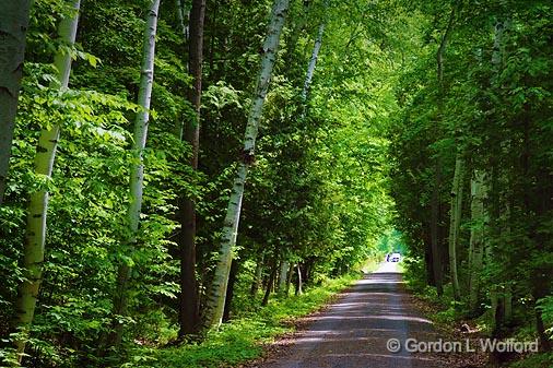 Causeway Trail_49484.jpg - Photographed near Fitzroy Harbour, Ontario, Canada.